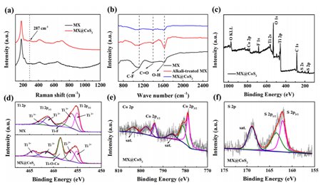多維復(fù)合框架作為超快充鋰硫電池的雙功能催化介質(zhì)