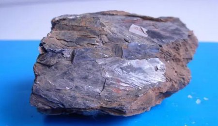 特斯拉與澳洲鋰礦供應商談判未成