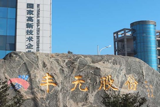 豐元股份擬募資不超20億元 加大布局鋰電正極材料產能