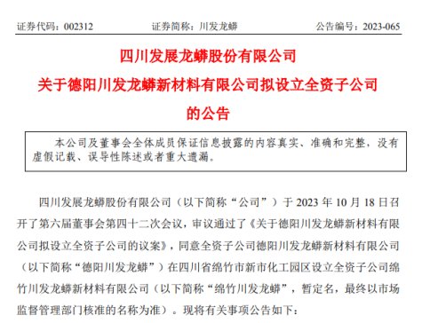 年產10萬噸！川發龍蟒擬設立孫公司投建磷酸鐵鋰項目