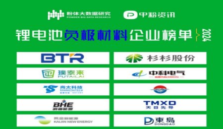 2024年鋰電池負極材料企業榜單