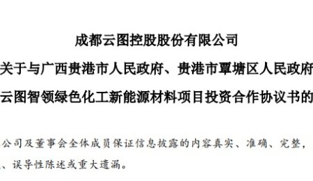 年產(chǎn)15萬噸磷酸鐵鋰項目落地廣西貴港！